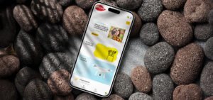 Dezvoltare site ecommerce shop online postere.md