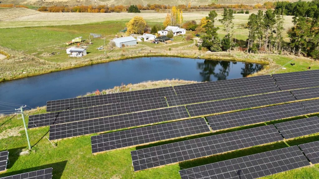 Parcurile solare au un efect alarmant asupra albinelor și fluturilor 1